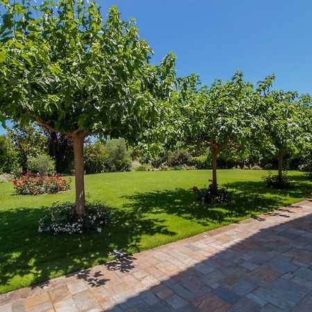 Villa Rodoula In Mystras 斯巴达 外观 照片