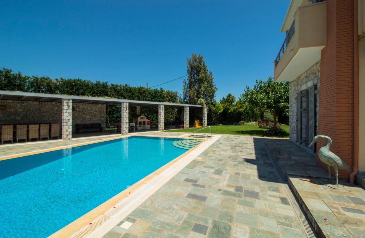 Villa Rodoula In Mystras 斯巴达 外观 照片
